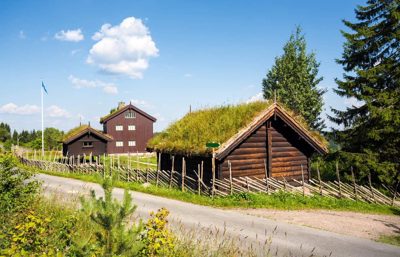 Tradisjonelle norske laftehytter med torvtak ved en grusvei, brukt som illustrasjon i artikkel om hva servituttloven sier om veirett.