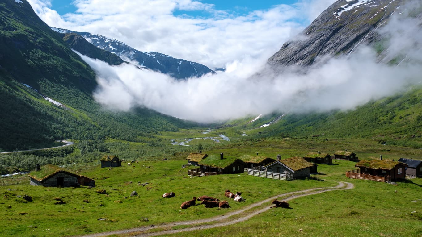 Smal grusveg som snor seg mellom seterhytter med torvtak i en grønn fjelldal, brukt i et eksempel på avtale om veirett.
