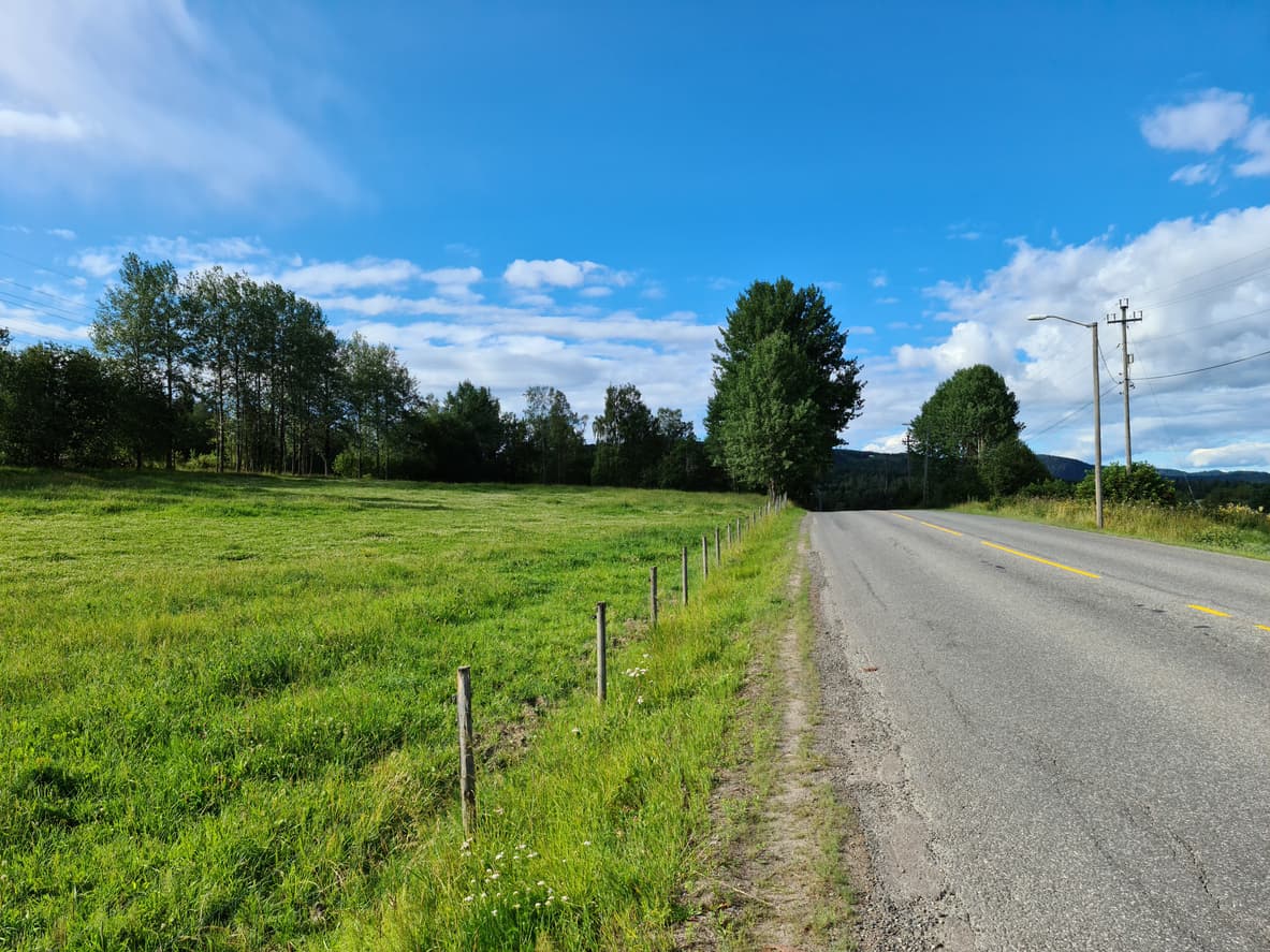 Grønt jorde langs en landlig asfaltvei med gjerdestolper og blå himmel, brukt som illustrasjon i artikkel om å kjøpe veirett.