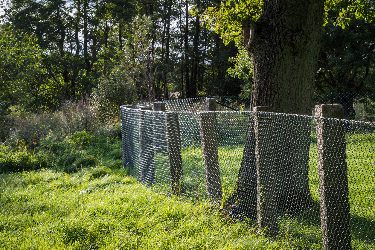 Gammelt flettverksgjerde med forvitrede steinstolper langs en eiendomsgrense i utmark, brukt som illustrasjon i artikkel om grensetvist.
