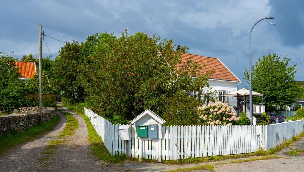 Hvitt hus med et stort, bærtungt tre inntil veien og postkasser foran, brukt for å illustrere reglene i naboloven om trær.
